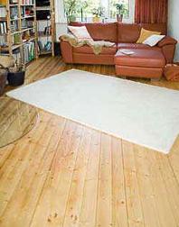 Wohnzimmer mit geöltem Holzboden